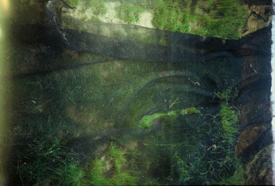 photo de la série "Autres" de Philippe Durieux