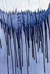 Photographie de la série "Bleus" de Philippe Durieux